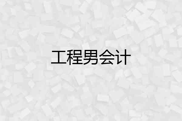 工程男会计