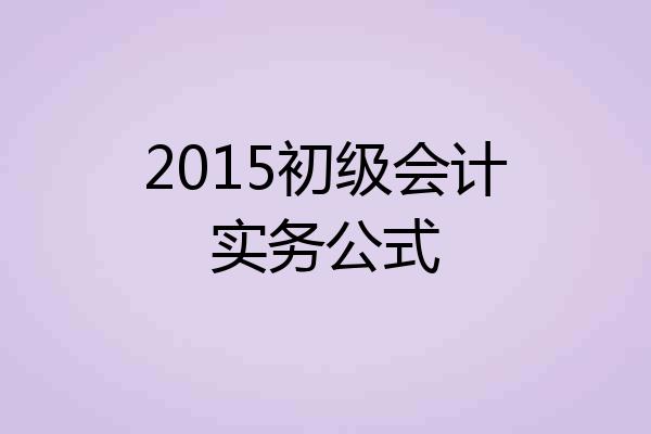 2015初级会计实务公式