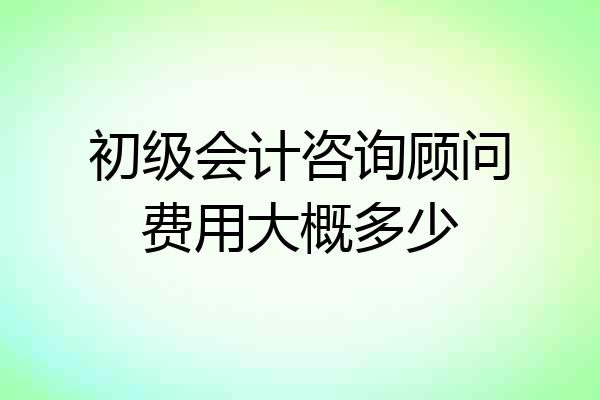 初级会计咨询顾问费用大概多少