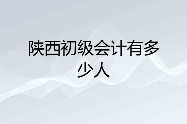 陕西初级会计有多少人