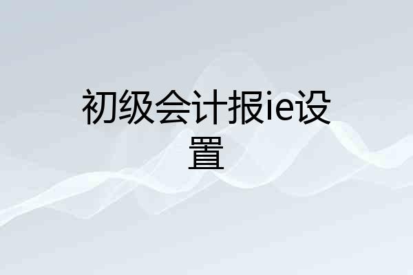 初级会计报ie设置