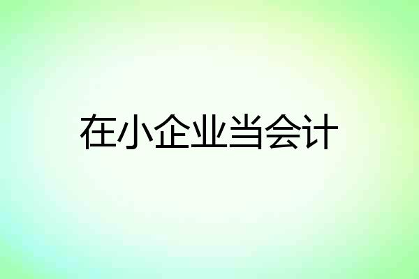 在小企业当会计