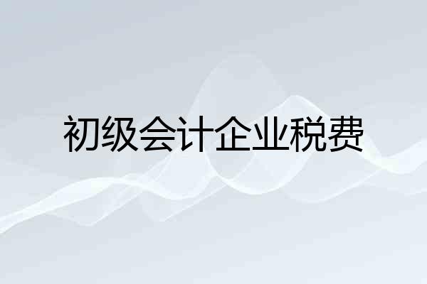 初级会计企业税费