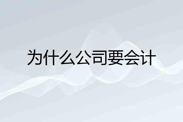 为什么公司要会计