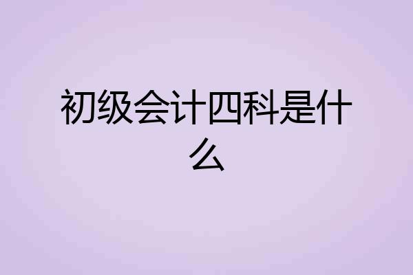 初级会计四科是什么