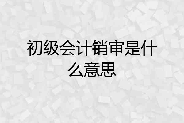 初级会计销审是什么意思