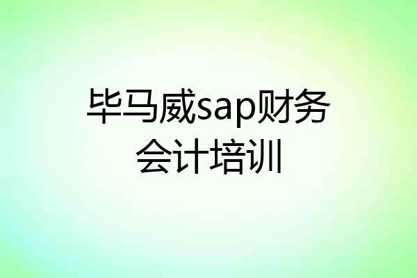 毕马威sap财务会计培训