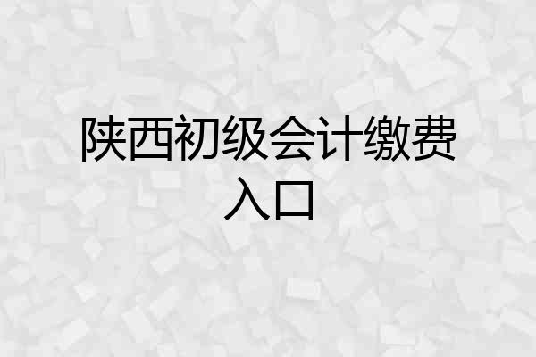陕西初级会计缴费入口