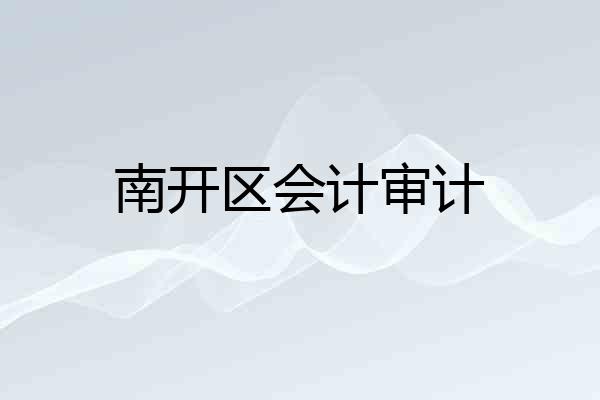 南开区会计审计