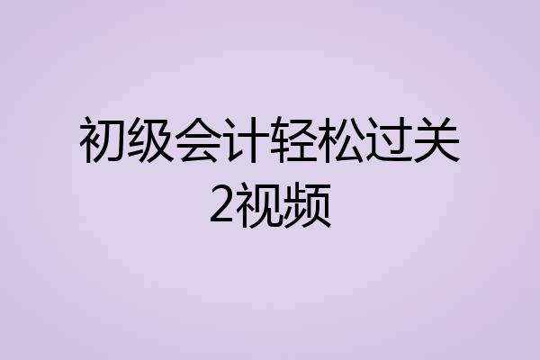 初级会计轻松过关2视频