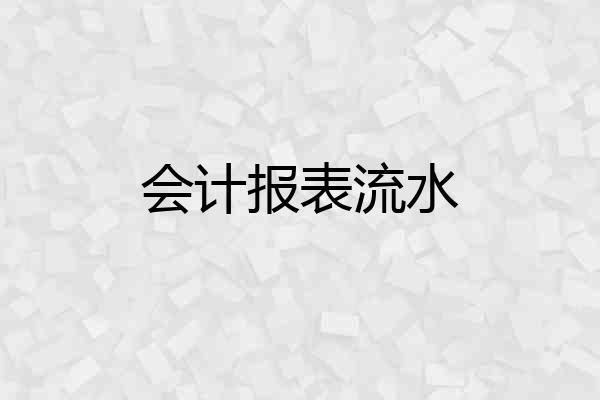 会计报表流水
