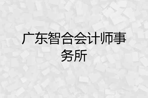 广东智合会计师事务所