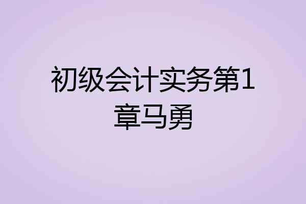 初级会计实务第1章马勇