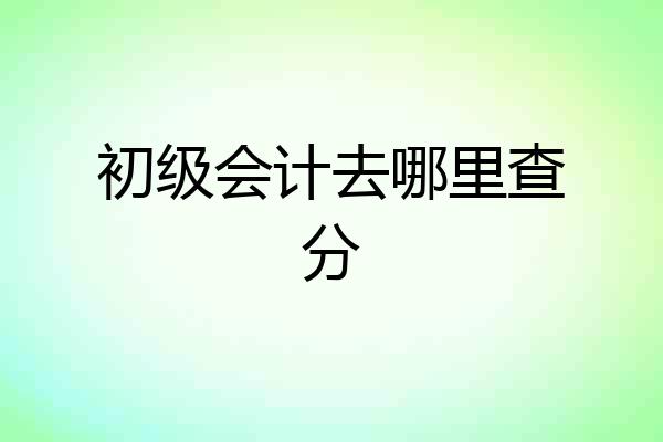 初级会计去哪里查分