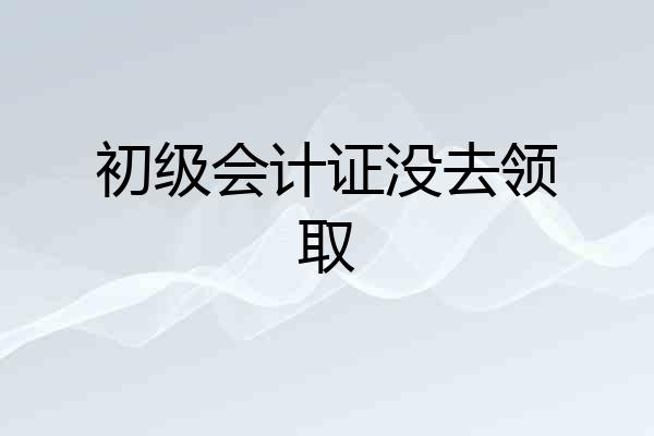 初级会计证没去领取