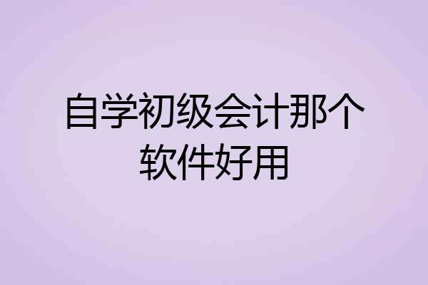 自学初级会计那个软件好用