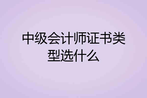 中级会计师证书类型选什么