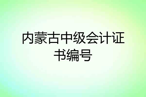 内蒙古中级会计证书编号