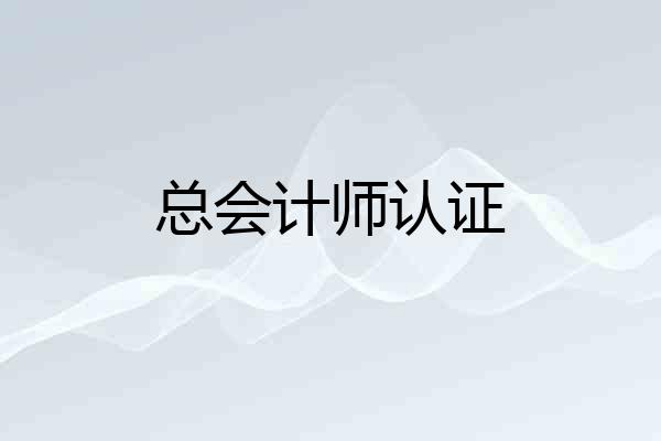 总会计师认证