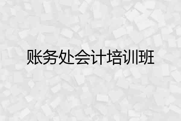 账务处会计培训班