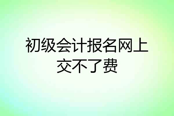 初级会计报名网上交不了费