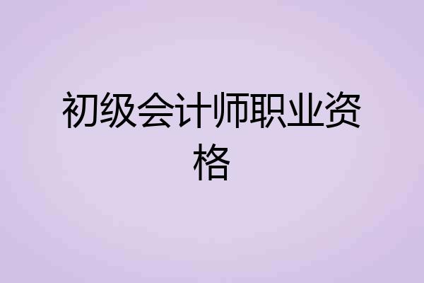 初级会计师职业资格