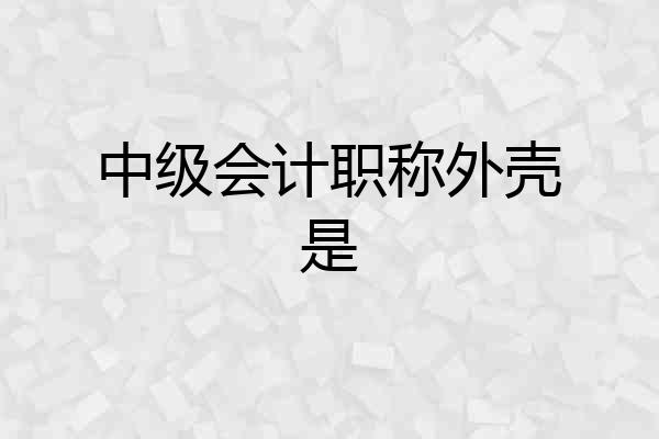 中级会计职称外壳是