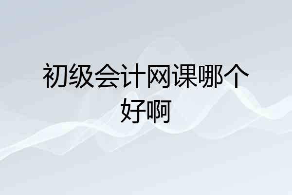 初级会计网课哪个好啊
