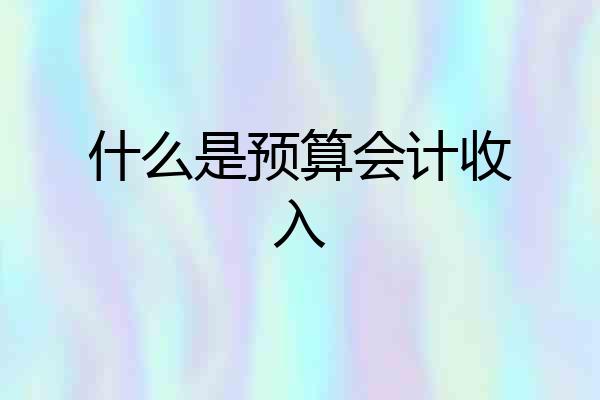 什么是预算会计收入