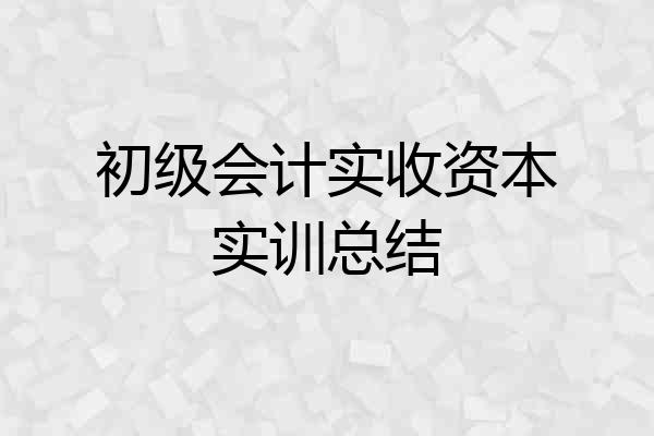 初级会计实收资本实训总结