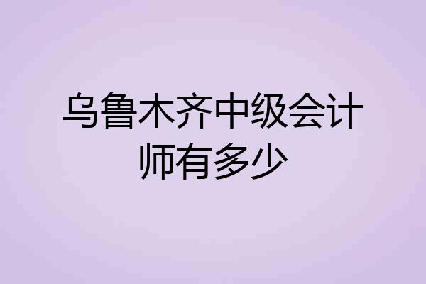 乌鲁木齐中级会计师有多少