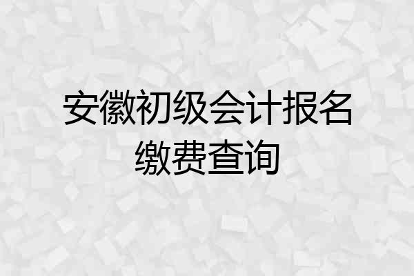 安徽初级会计报名缴费查询