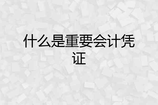 什么是重要会计凭证