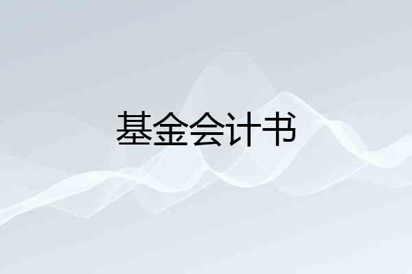 基金会计书