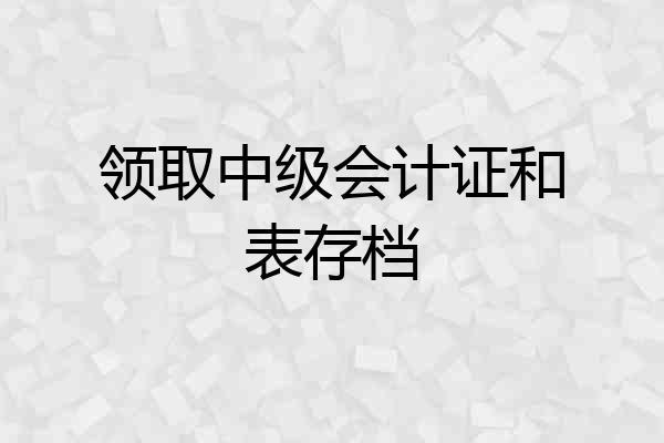 领取中级会计证和表存档