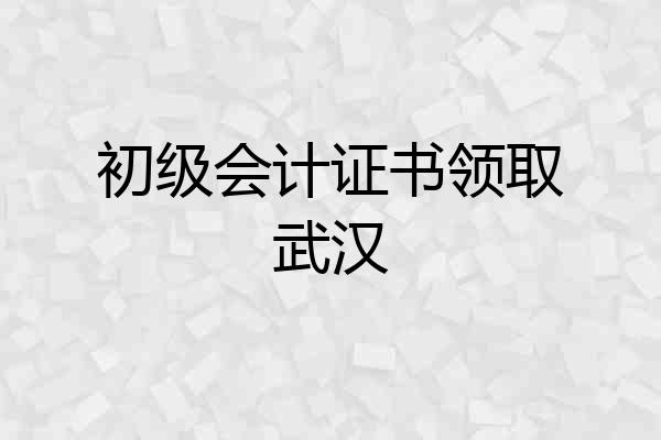 初级会计证书领取武汉