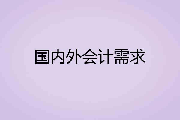 国内外会计需求