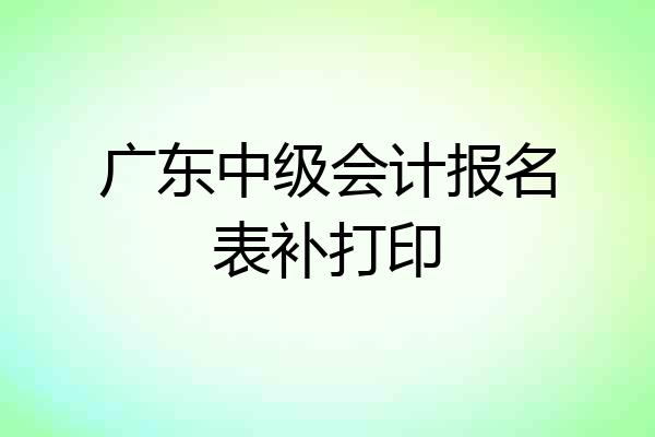 广东中级会计报名表补打印