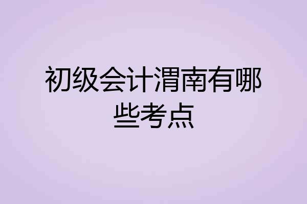 初级会计渭南有哪些考点