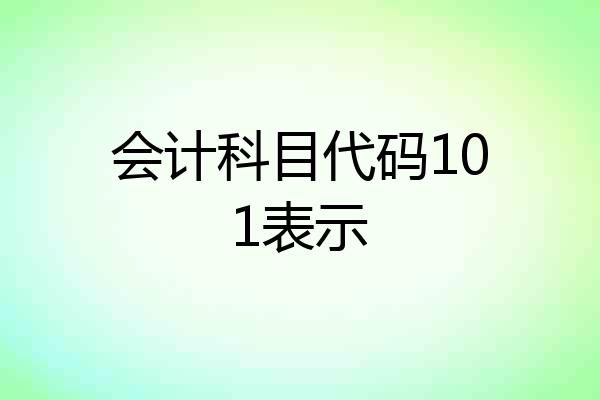会计科目代码101表示