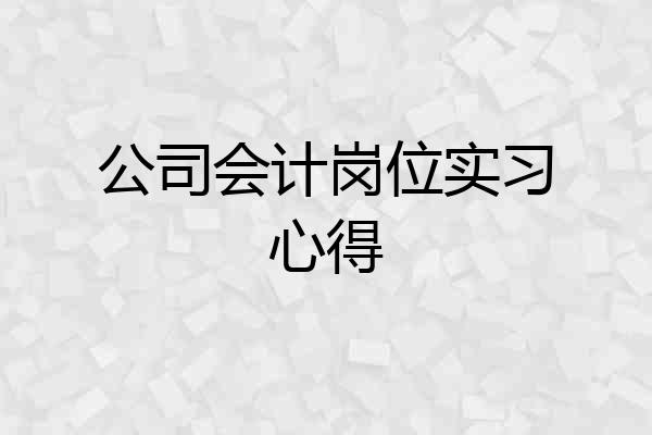 公司会计岗位实习心得