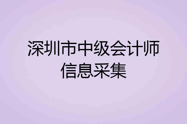 深圳市中级会计师信息采集