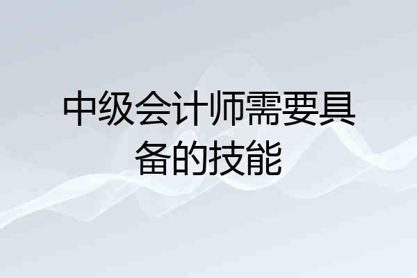 中级会计师需要具备的技能
