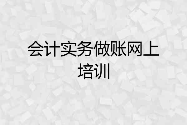 会计实务做账网上培训