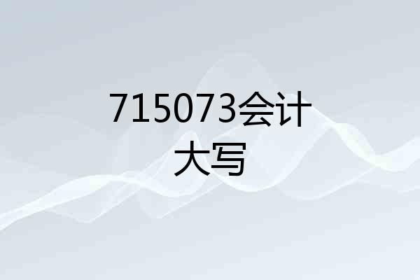 715073会计大写