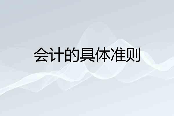 会计的具体准则