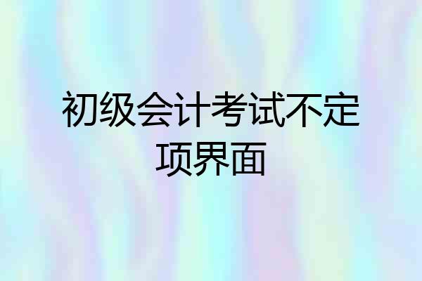 初级会计考试不定项界面