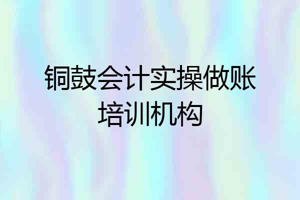 铜鼓会计实操做账培训机构