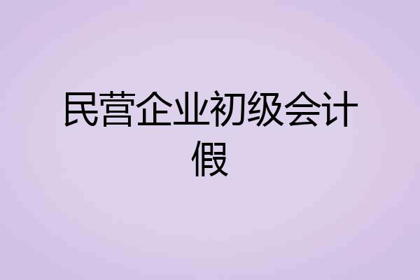 民营企业初级会计假