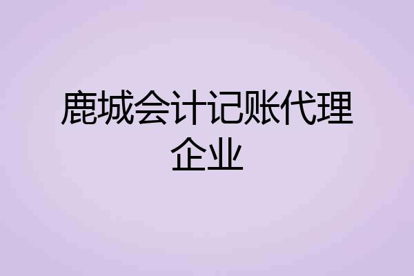 鹿城会计记账代理企业